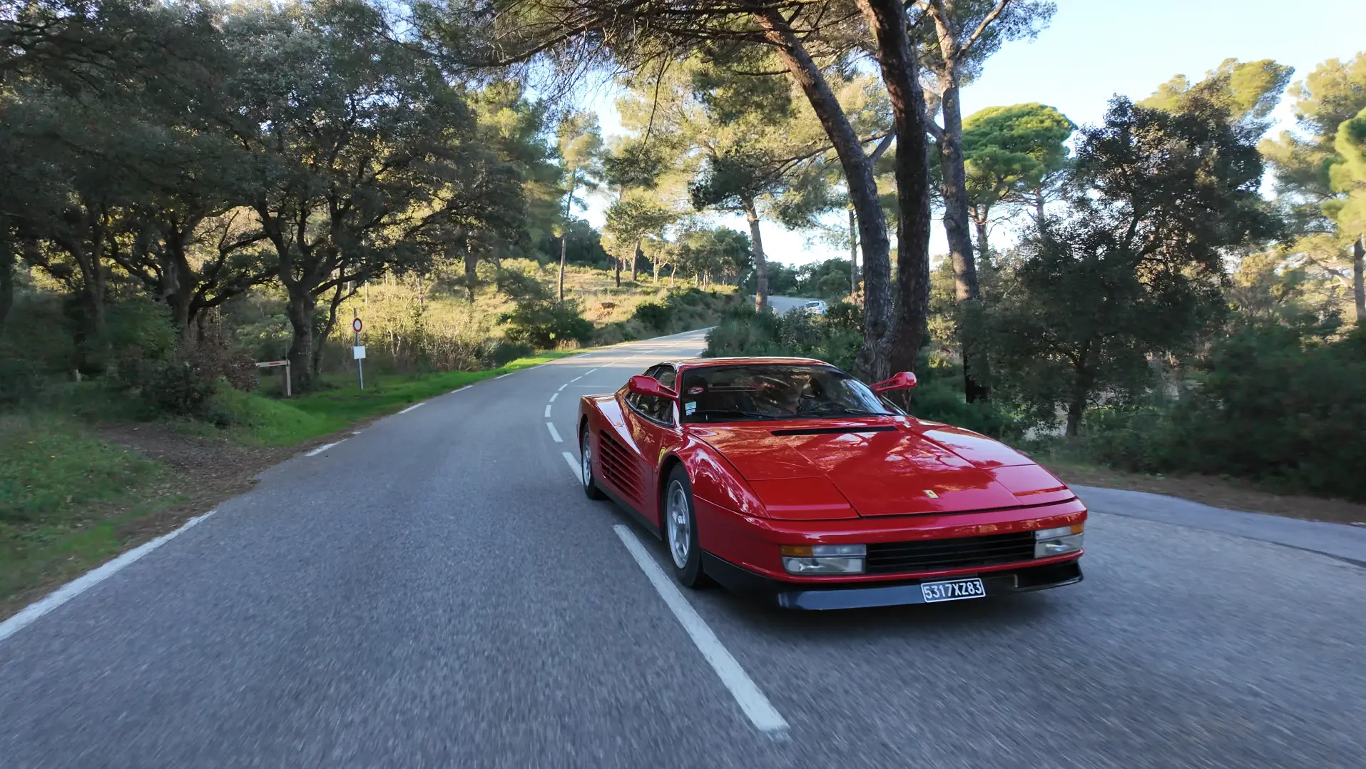 Ferrari Testarossa rouge en action sur une route bordée de pins
