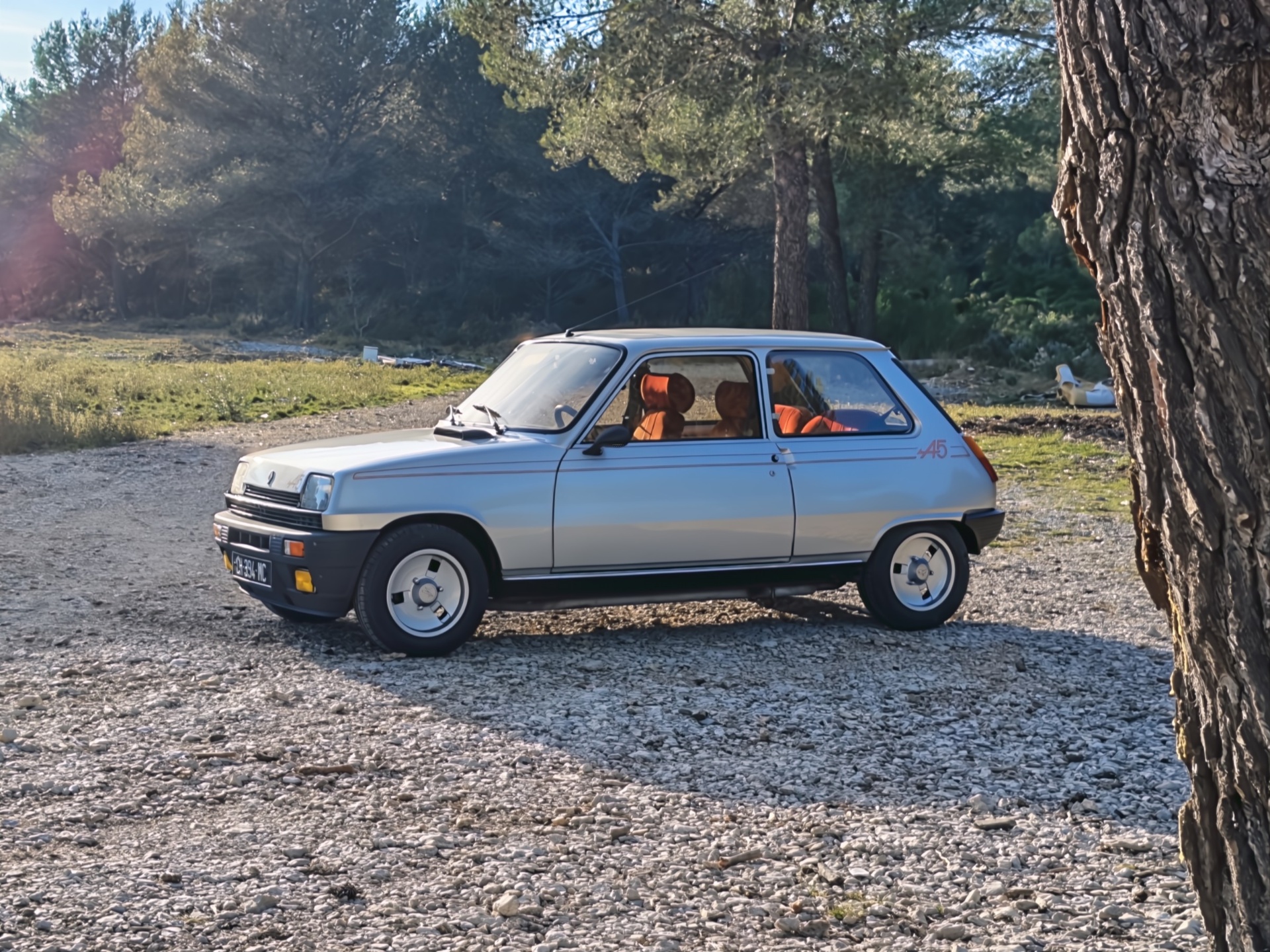 Renault 5 Alpine argent photographiée de profil dans un décor boisé